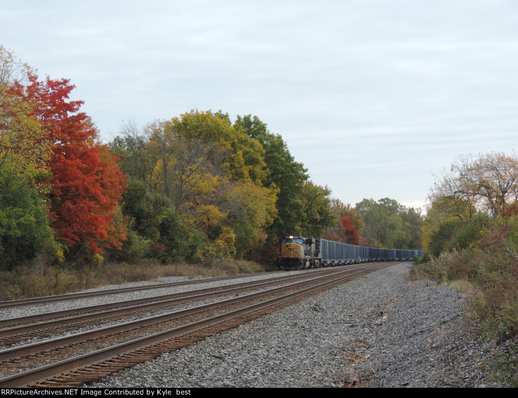 M627 and more fall leaves 